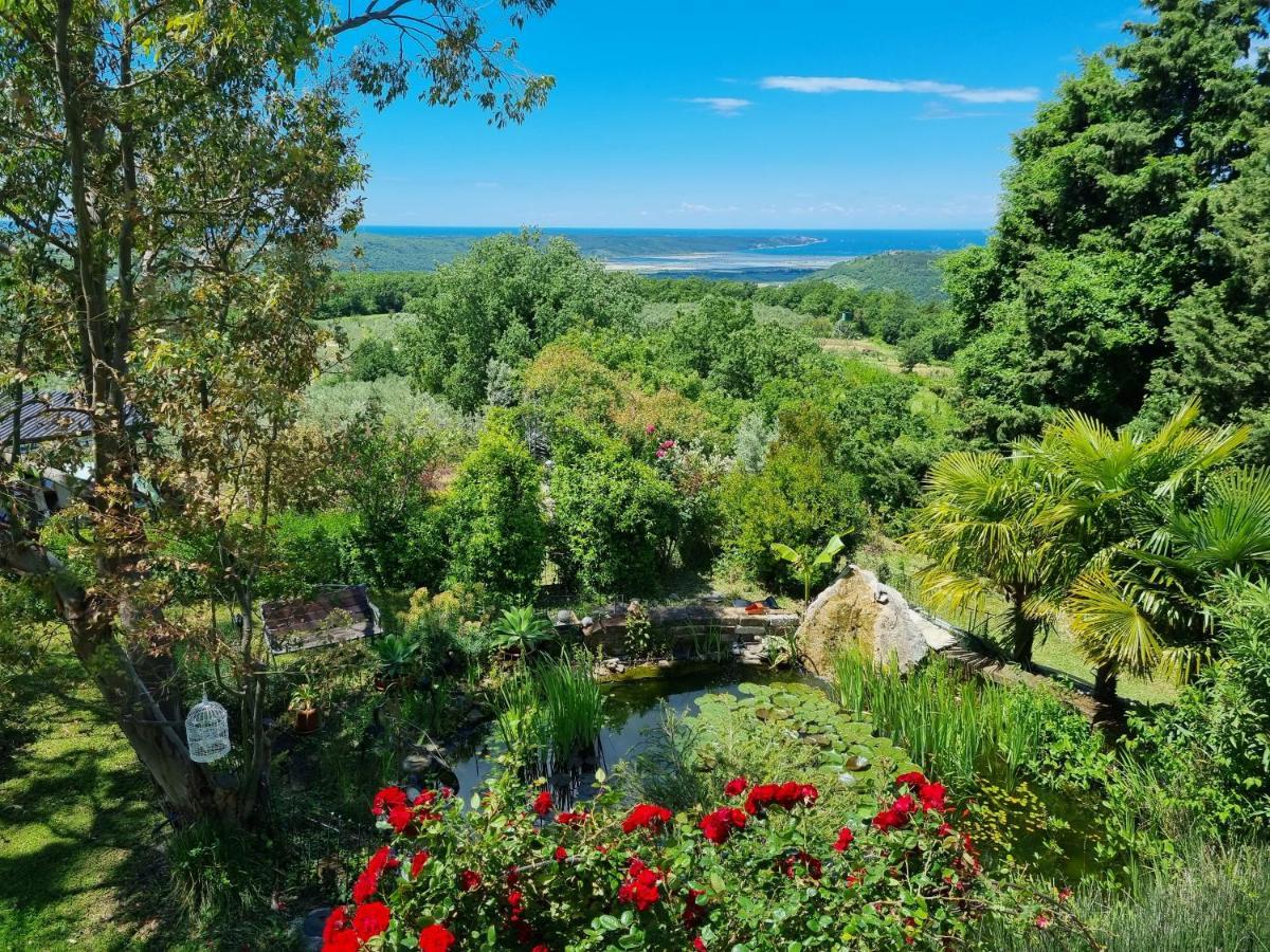 Garden Apartment Сечовлє Екстер'єр фото