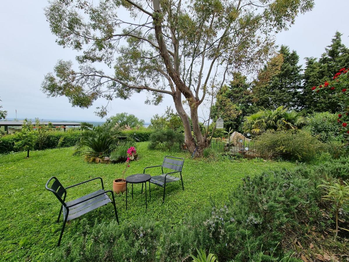 Garden Apartment Сечовлє Екстер'єр фото