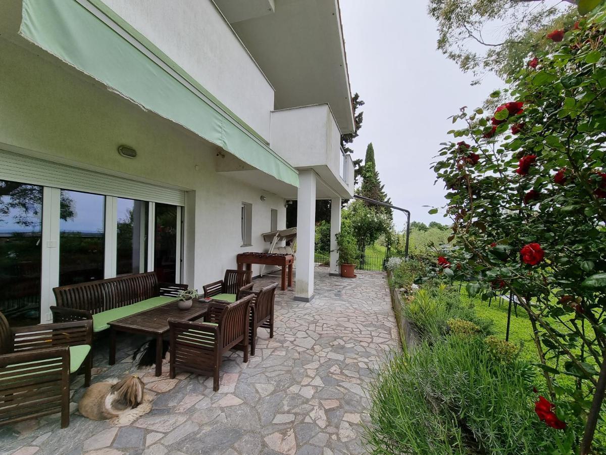 Garden Apartment Сечовлє Екстер'єр фото