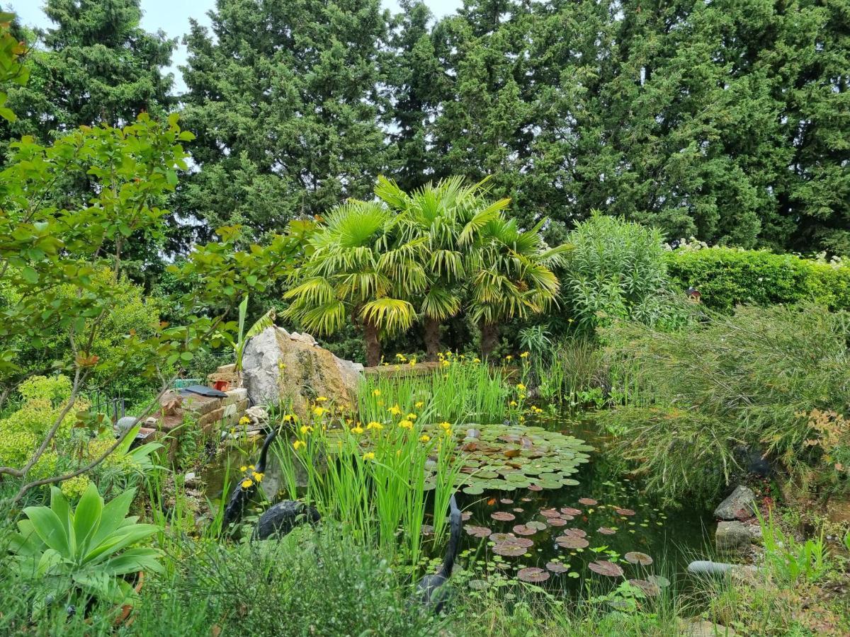 Garden Apartment Сечовлє Екстер'єр фото