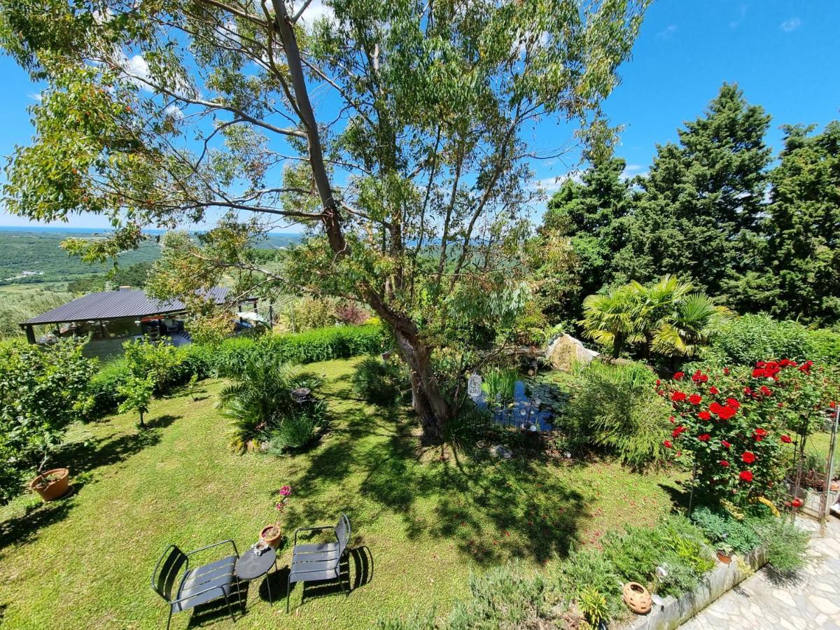 Garden Apartment Сечовлє Екстер'єр фото