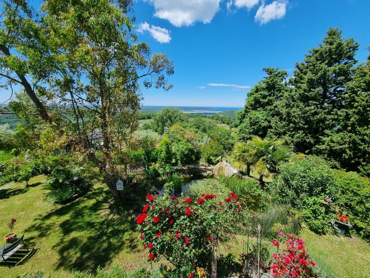 Garden Apartment Сечовлє Екстер'єр фото